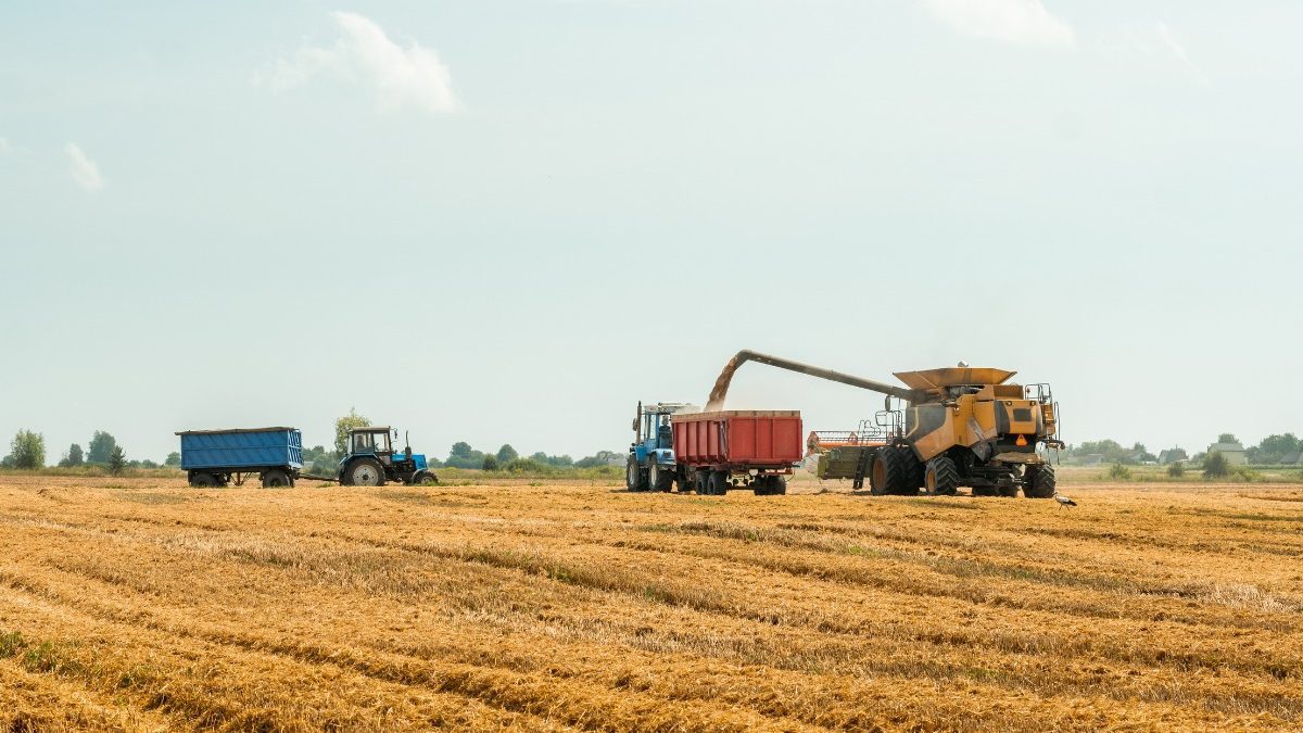 processos-agricolas