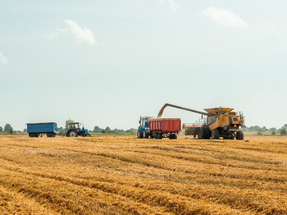 processos-agricolas