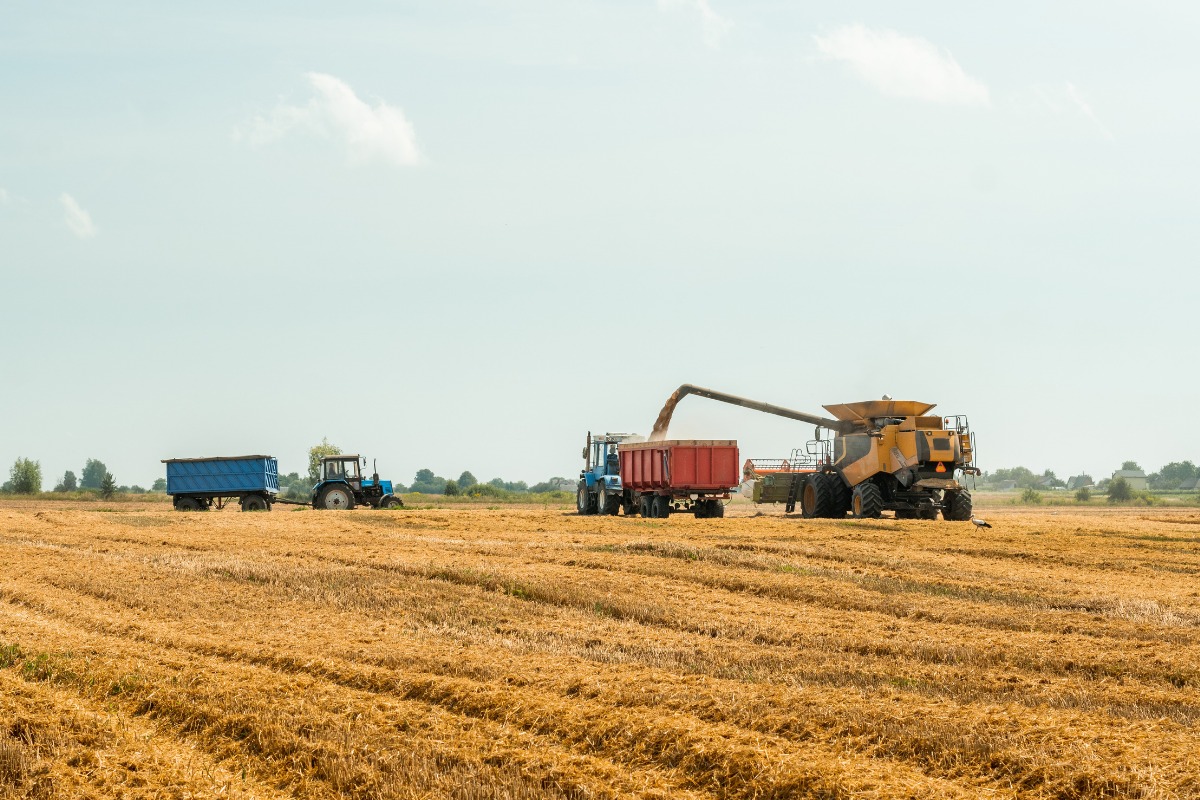 processos-agricolas